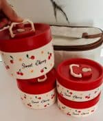 ظرف غذای( لانچ باکس) داخل استیل، 4 تکه، بدون نشتی، به همراه کیف (کرم و شکلاتی و طرحدار آلبالویی) - تصویر 6